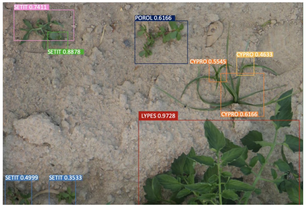 Herbs being analyzed by cameras pointing at the ground